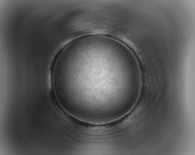 X0000088491171200705291641