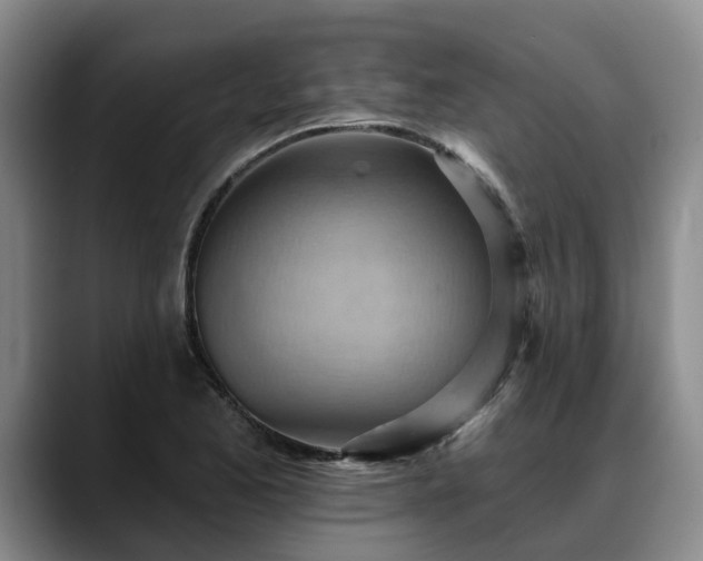 X0000088491173200705291641