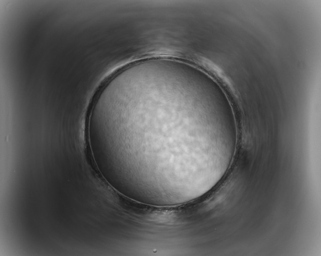 X0000088491174200705291641