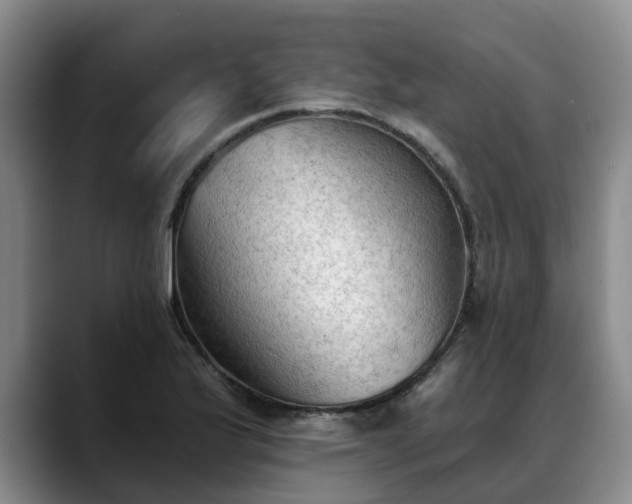 X0000088491175200705291641