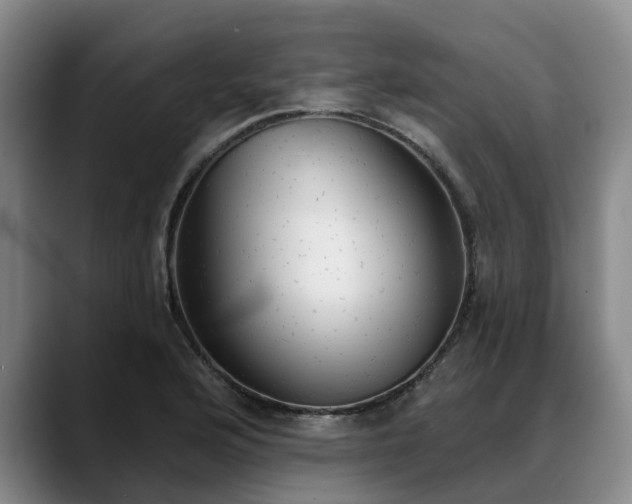X0000088491176200705291641
