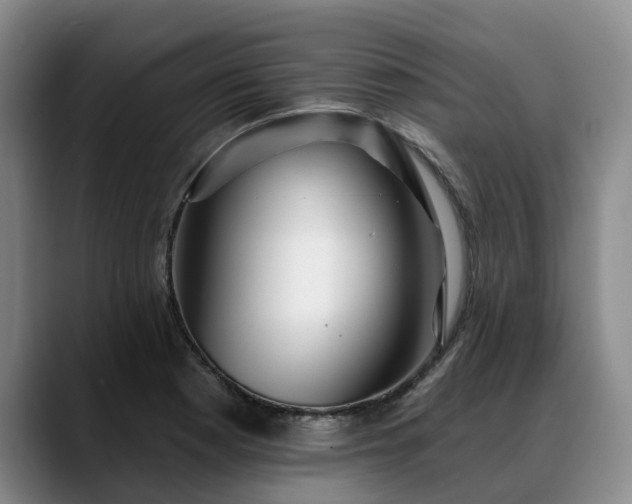 X0000088491177200705291641
