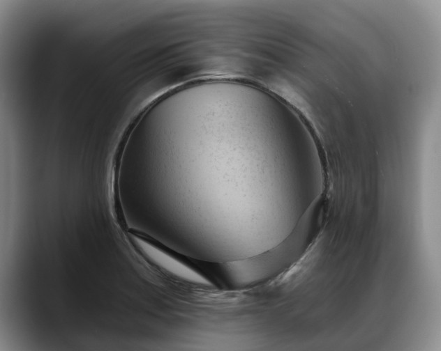 X0000088491179200705291641