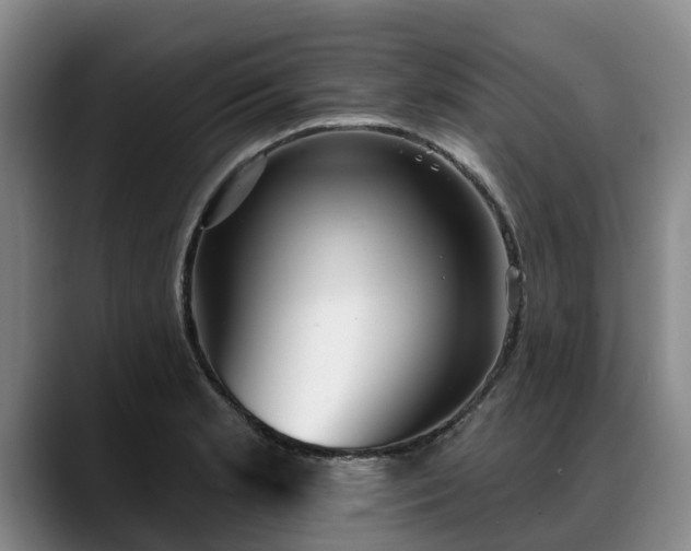 X0000088491181200705291641