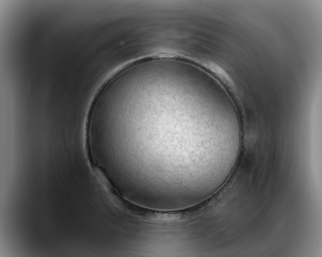 X0000088491183200705291641