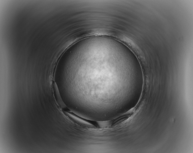 X0000088491185200705291641