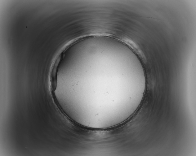 X0000088491188200705291641