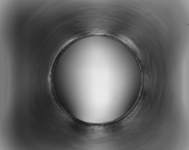 X0000088491190200705291641
