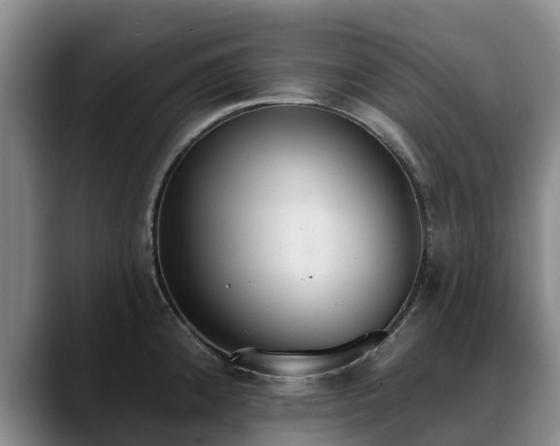 X0000088491192200705291641