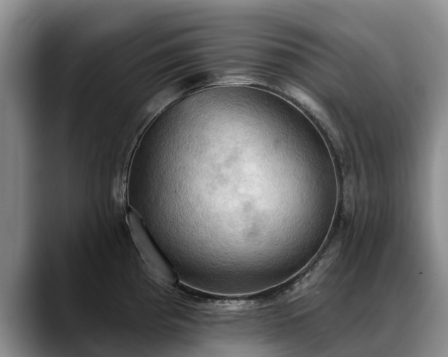 X0000088491193200705291641