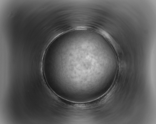 X0000088491194200705291641