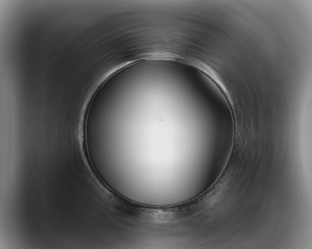 X0000088491195200705291641
