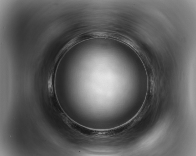 X0000088491198200705291641