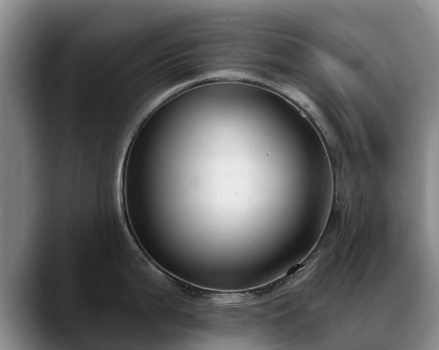 X0000088491199200705291641