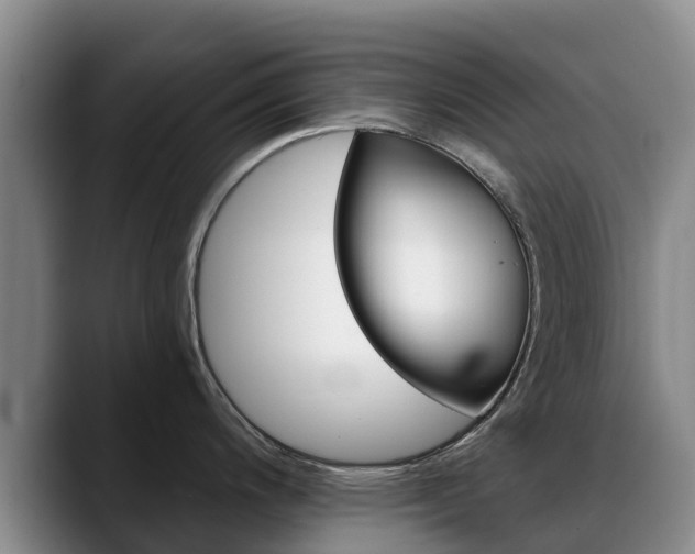 X0000088491200200705291641