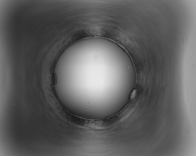 X0000088491201200705291640