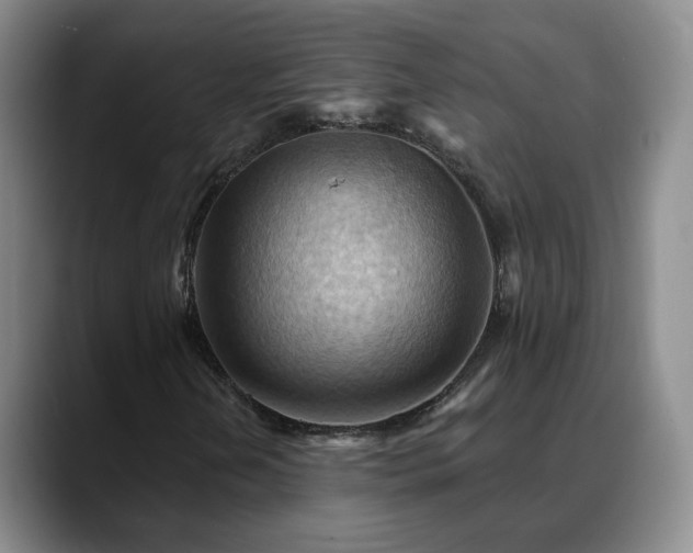 X0000088491202200705291640
