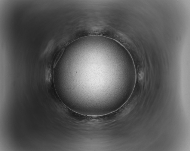 X0000088491204200705291640