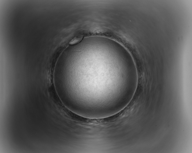 X0000088491205200705291640