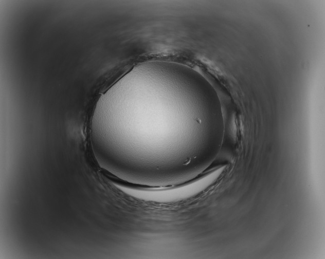 X0000088491206200705291640