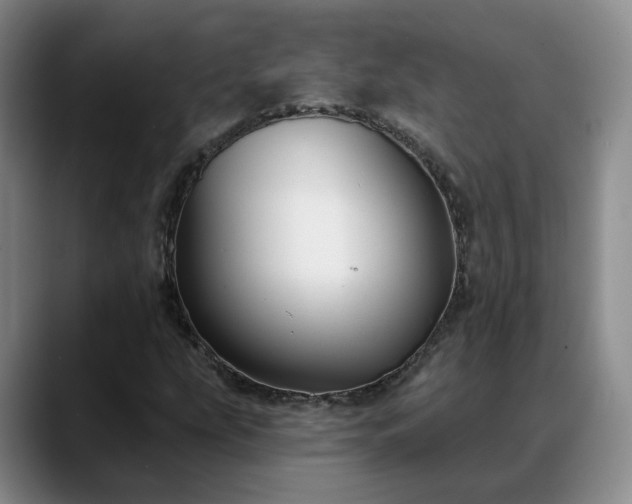 X0000088491207200705291641