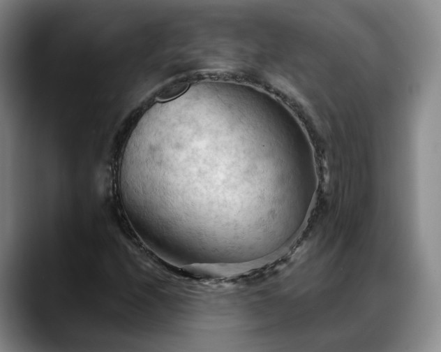 X0000088491208200705291641