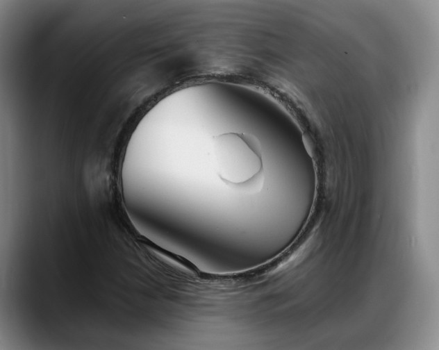 X0000088491210200705291641