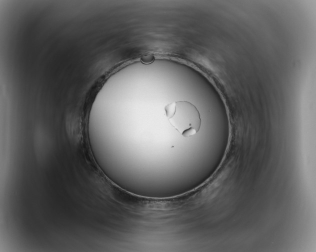 X0000088491211200705291641