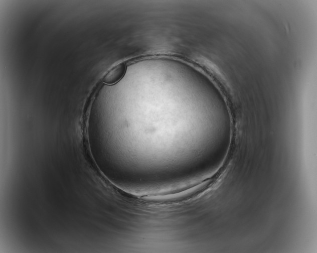 X0000088491212200705291641