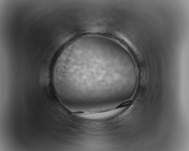 X0000088491213200705291641