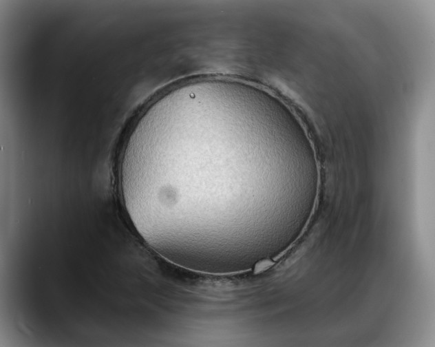 X0000088491215200705291641