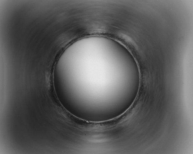 X0000088491217200705291641