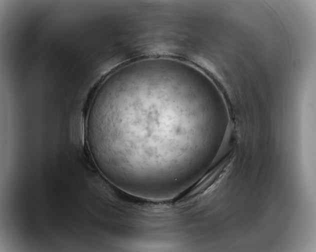 X0000088491219200705291641