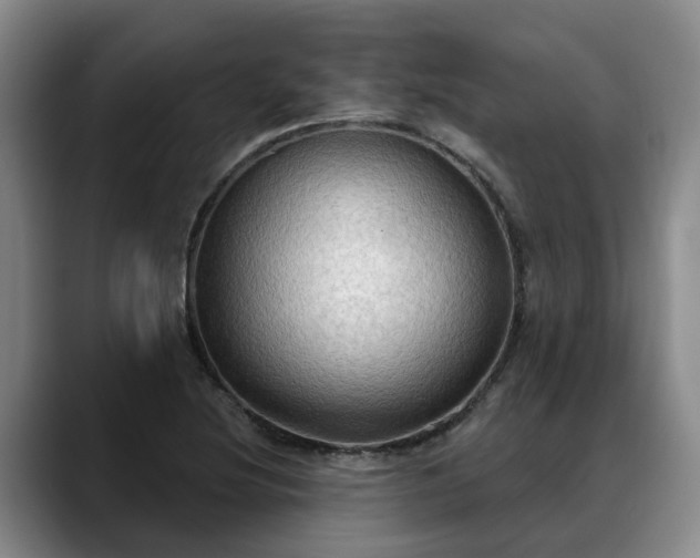 X0000088491220200705291641