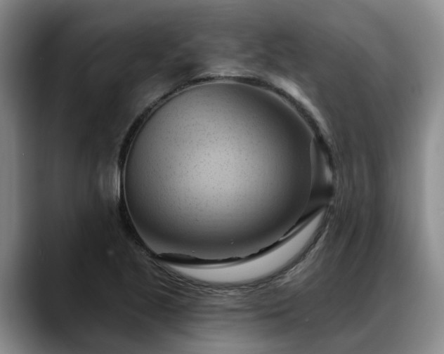 X0000088491221200705291641