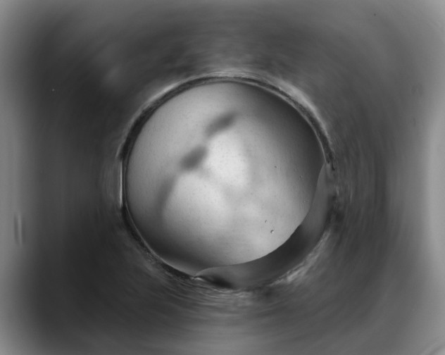 X0000088491223200705291641