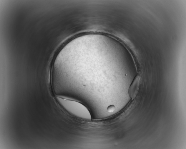X0000088491224200705291641
