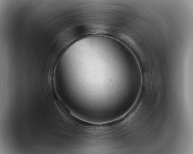 X0000088491225200705291641