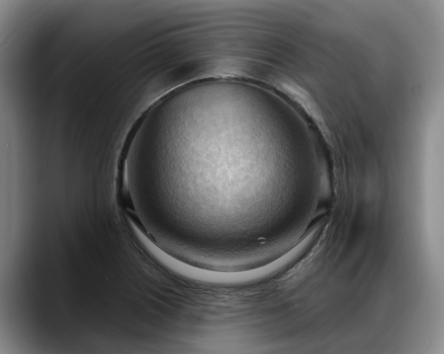 X0000088491226200705291641