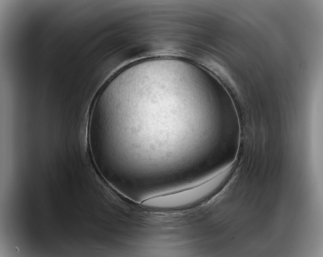 X0000088491228200705291641