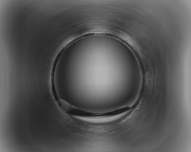 X0000088491229200705291641