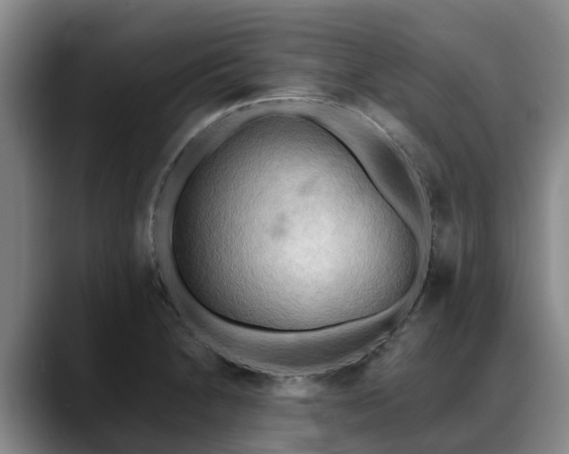 X0000088491230200705291641