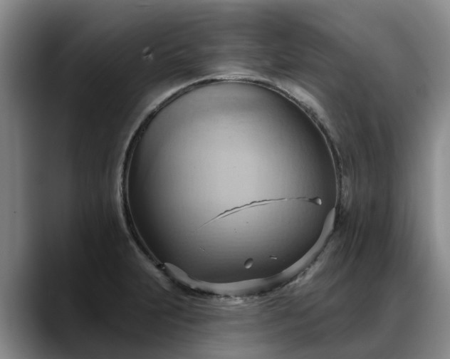 X0000088491231200705291641