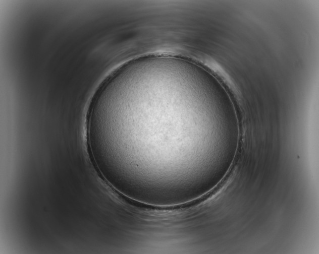 X0000088491232200705291641