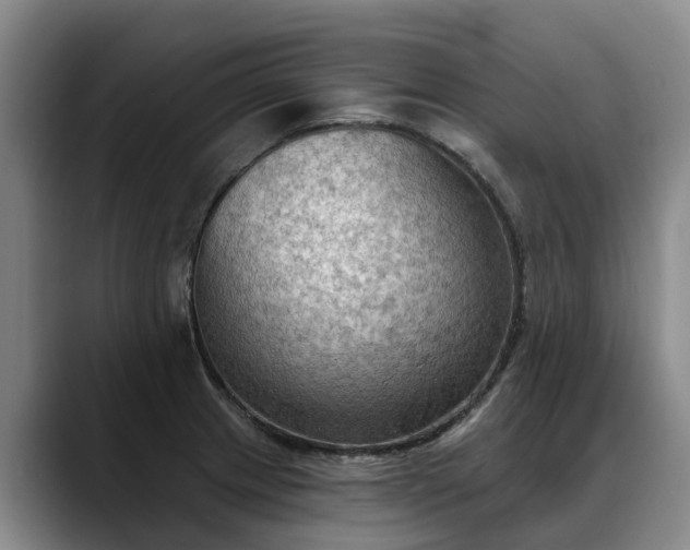 X0000088491233200705291641