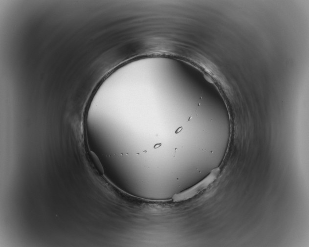 X0000088491234200705291641