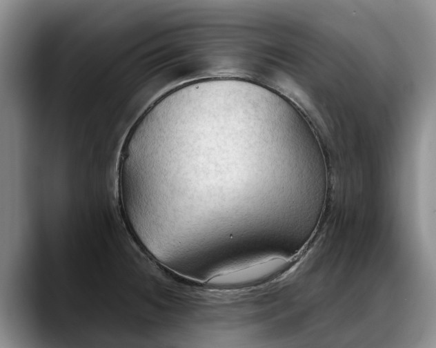 X0000088491236200705291641