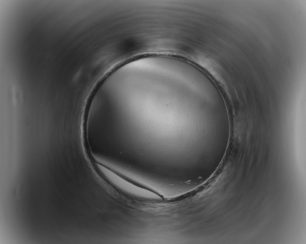 X0000088491237200705291641