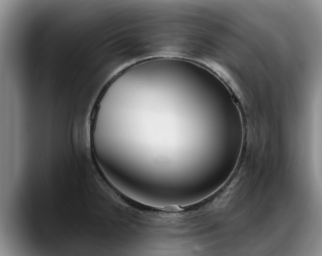 X0000088491238200705291641