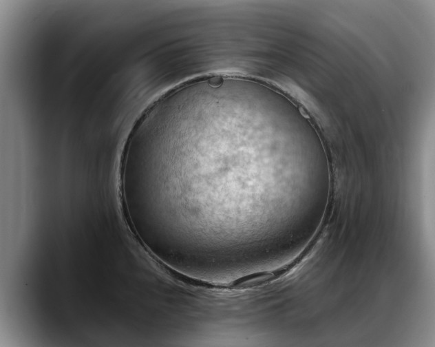X0000088491240200705291641